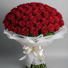 Букет 101 Красная роза Блэк Мэджик в Прималкинском