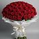 Букет 101 Красная роза Блэк Мэджик в Прималкинском