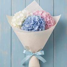 Букет цветов из:  Гортензия #REPLACE_PRED# Прималкинском