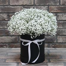 Цветочная композиция из Гипсофила в шляпной коробке в Прималкинском