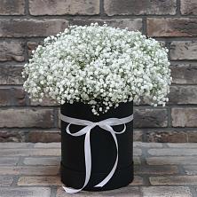 Цветочная композиция из Гипсофила в шляпной коробке в Прималкинском