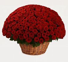 Премиум букет из: Розы в Прималкинском