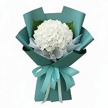 Букет цветов из:  Гортензия #REPLACE_PRED# Прималкинском